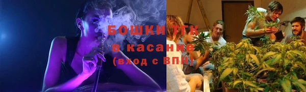 индика Верхнеуральск