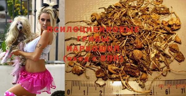 прущая мука Верея