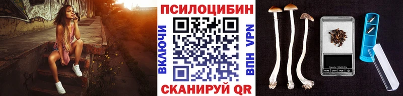 Галлюциногенные грибы MAGIC MUSHROOMS  дарнет шоп  Волчанск 
